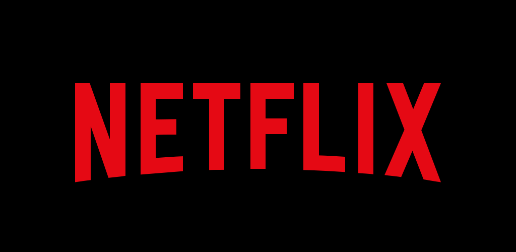 NETFLIXデータ通信量